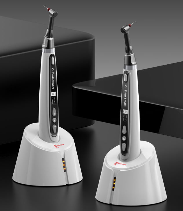 روتاری وودپیکر endo smart